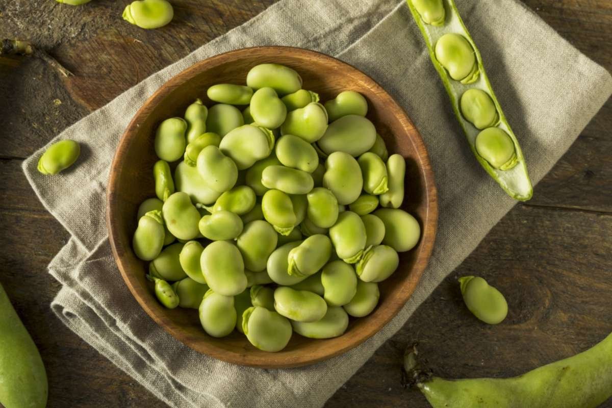 Source - vegnews.com