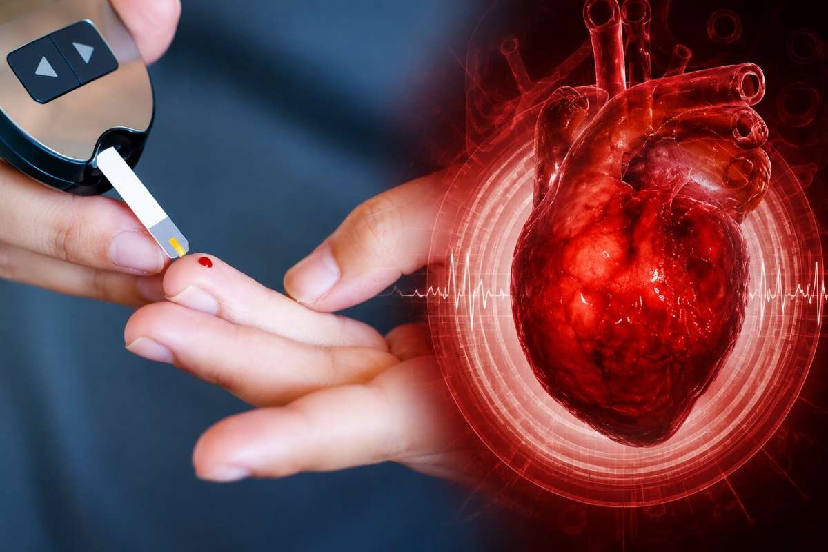 Diabetes Heart Disease Risk: Prevention Guide for 2026 | The Lifesciences Magazine