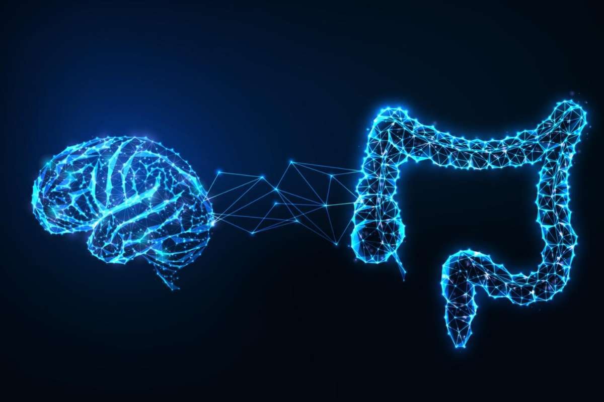 The Gut-Brain Axis and Emotional Wellness Explained | The Enterprise World