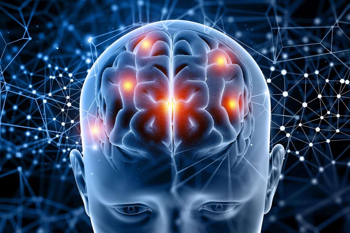 Neuroscience of Emotional Wellness: What Your Brain Knows | The Lifesciences Magazine
