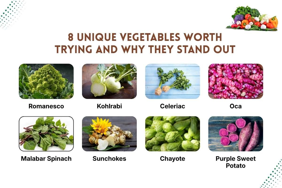 Unique and Healthy Vegetables: 8 Nutritious Choices | The Lifesciences Magazine