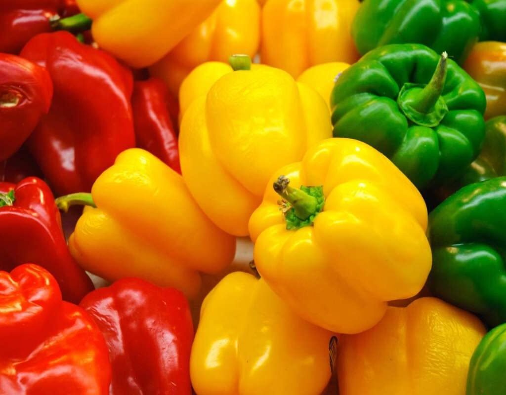 Benefits of Bell Peppers: Why You Need Them on Your Plate | The Lifesciences Magazine