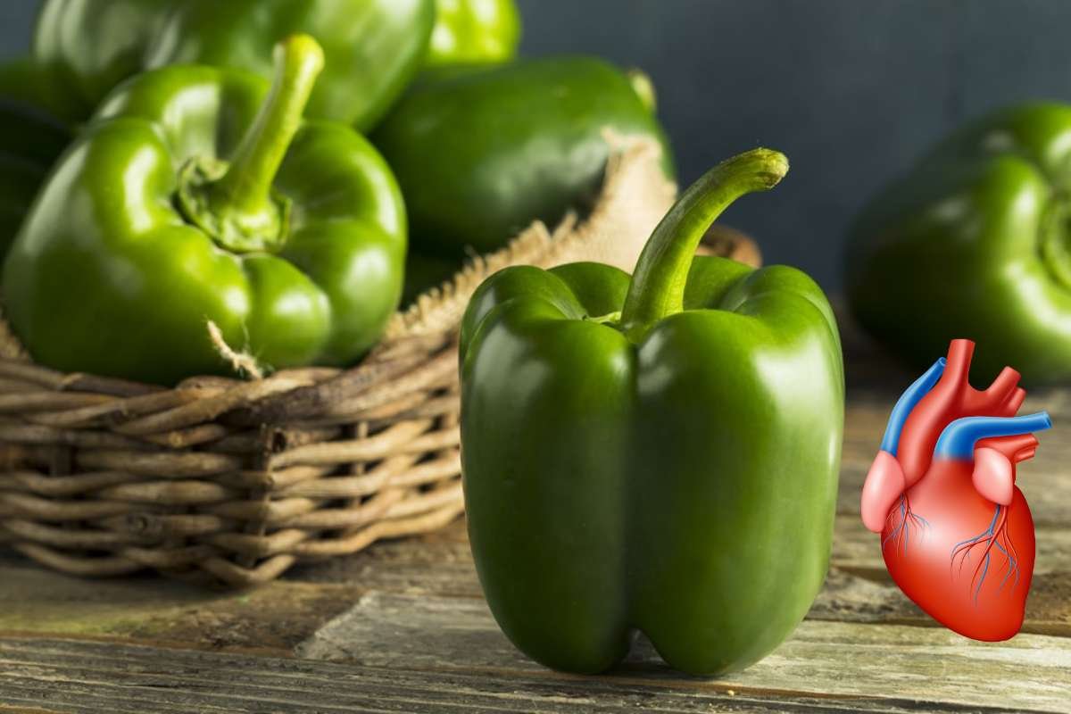 7 Powerful Benefits of Green Peppers You Need to Know | The Lifesciences Magazine