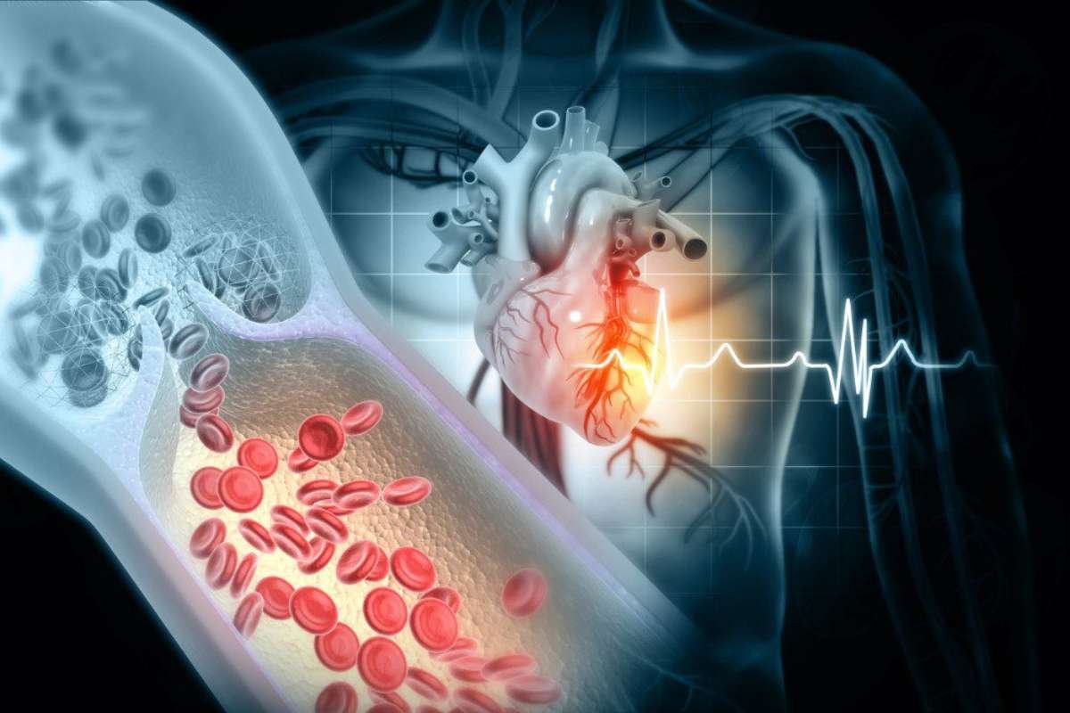 How to Reduce Risk of Heart Attack Before Symptoms Appear | The Enterprise World