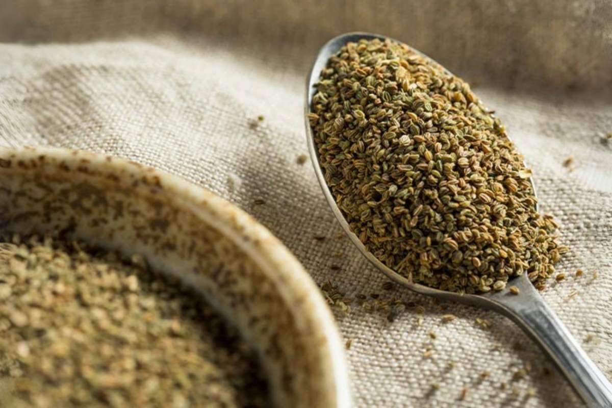 Benefits of Celery Seeds: Nutrition and Health Benefits | The Lifesciences Magazine