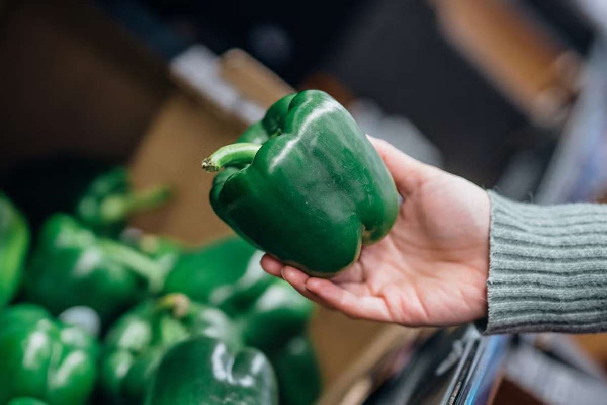 7 Powerful Benefits of Green Peppers You Need to Know | The Lifesciences Magazine