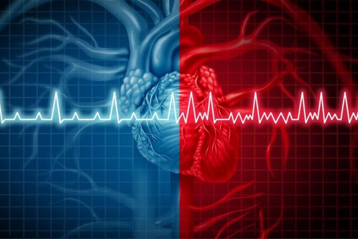 Atrial Fibrillation: Symptoms, Causes, Treatment and Risks | The Lifesciences Magazine