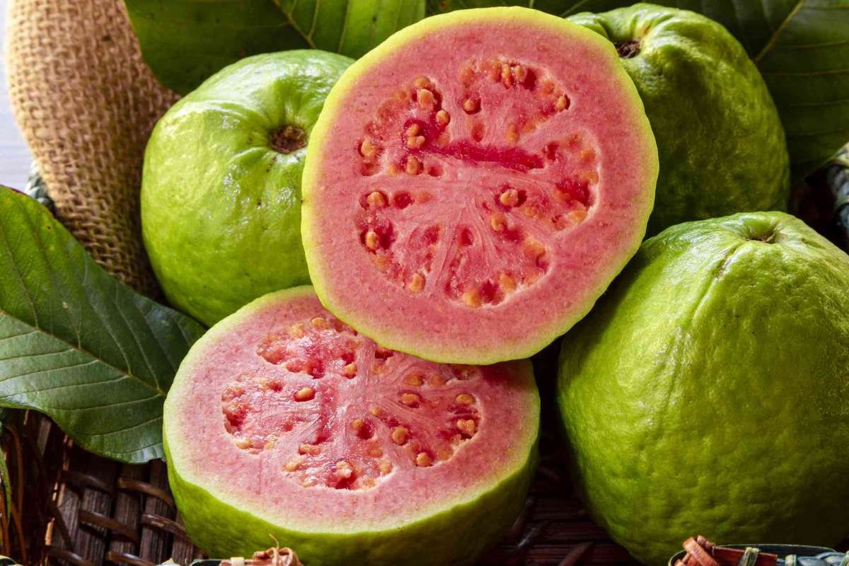 Health Benefits of Guava: Boost Immunity and Heart Health | The Lifesciences Magazine