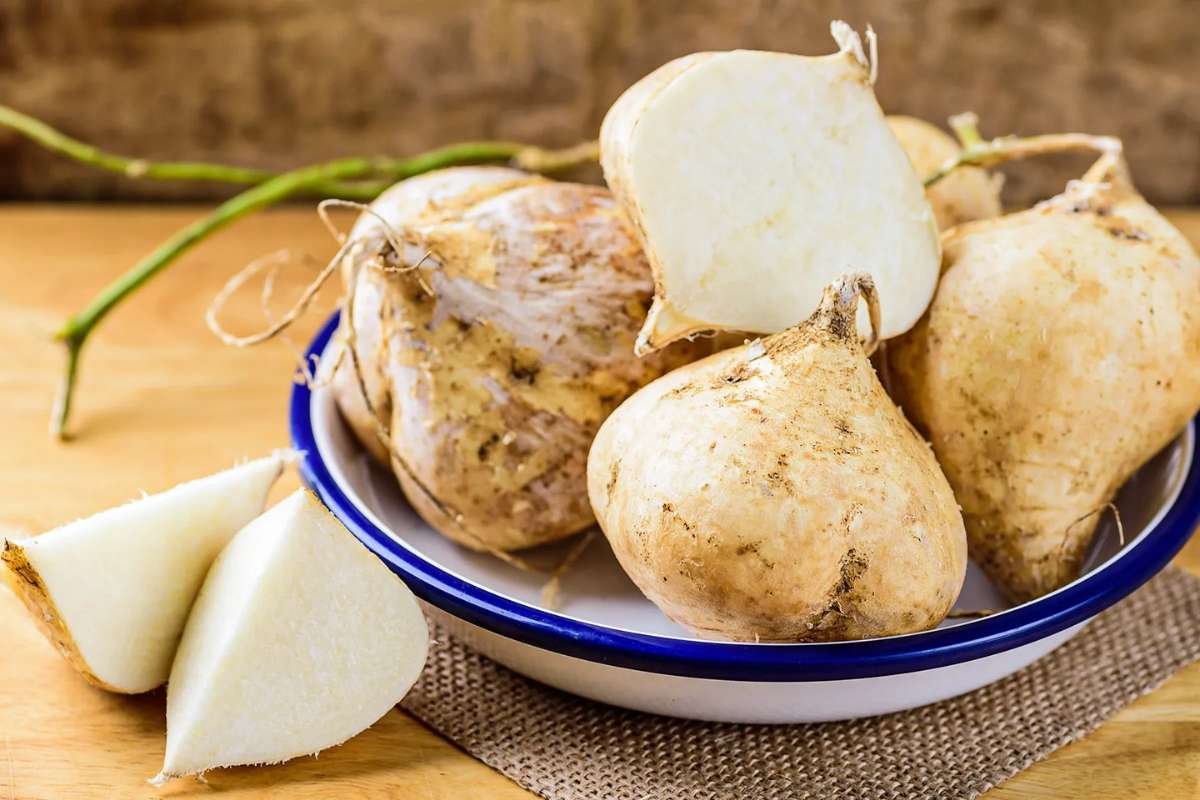 Health and Nutrition Benefits of Jicama: Nutrition Guide | The Lifesciences Magazine