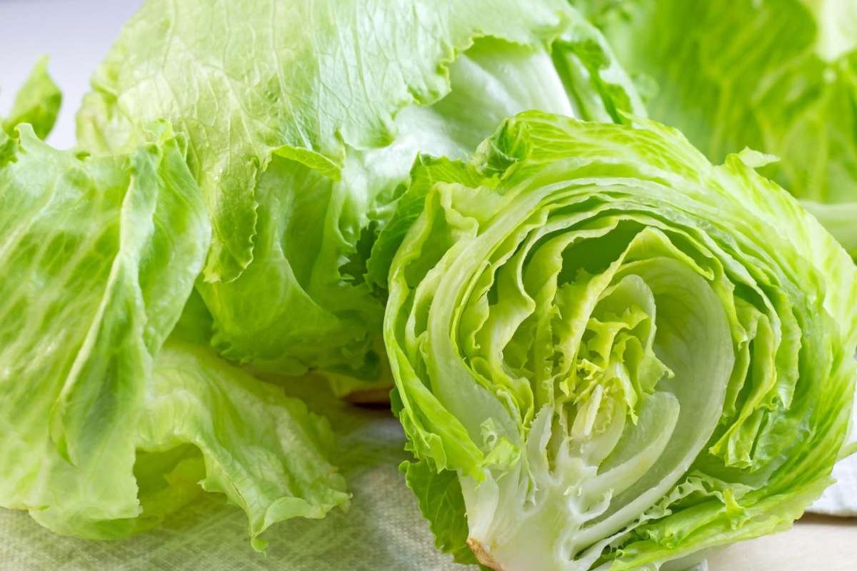 18,000 Cyclospora Cases Surge Across 45 States Amid CDC Investigation | The Lifesciences Magazine