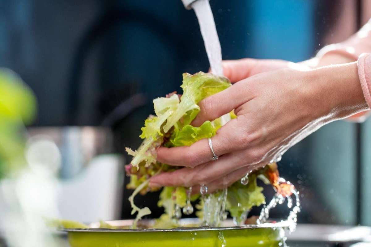 Cyclospora Outbreak affects Nearly 4,000 Across U.S | The Lifesciences Magazine