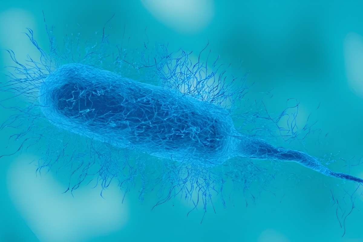 Flesh Eating Bacteria: Florida Reports 1 Death, 12 Cases in 2026 | The Lifesciences Magazine