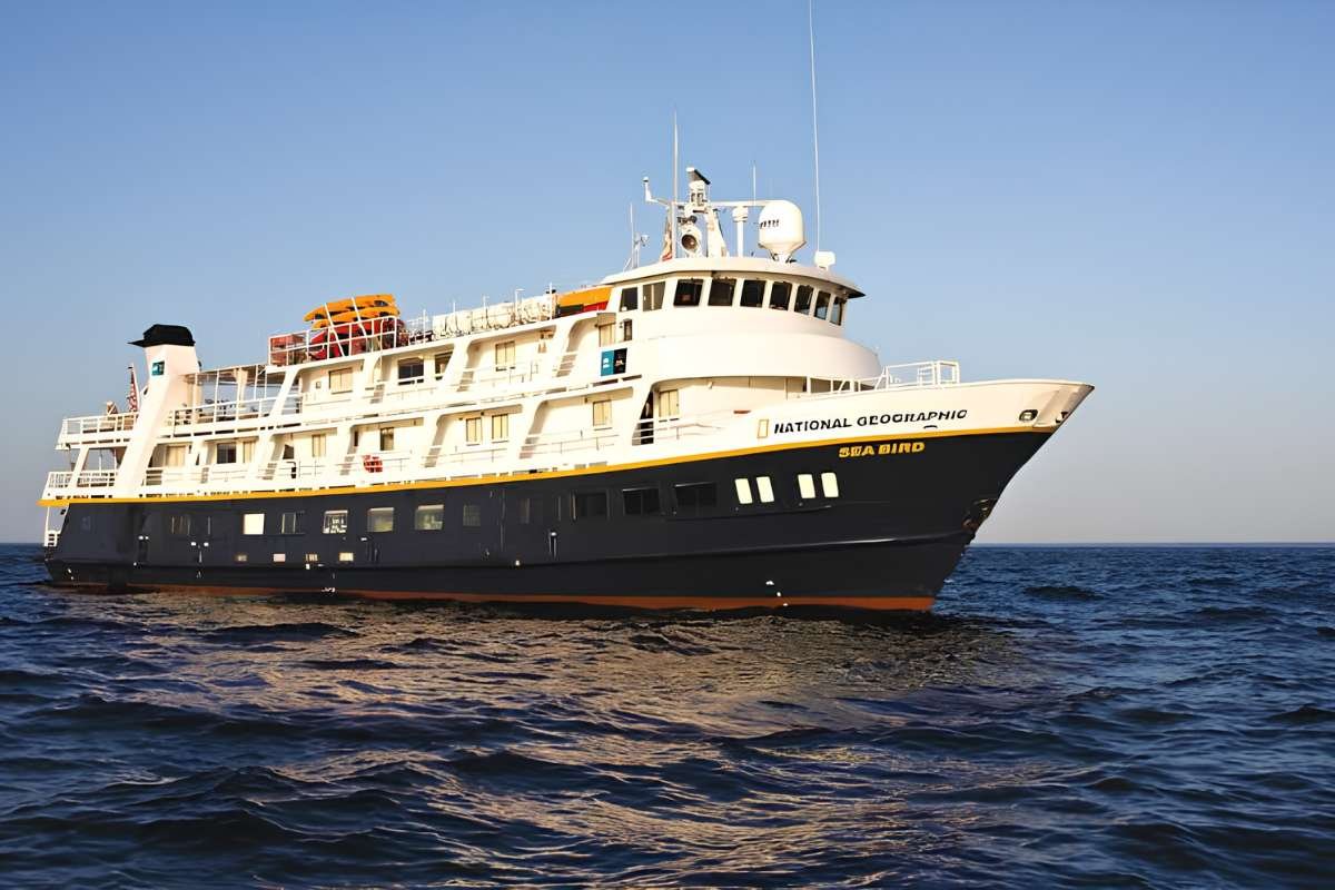 Sea Bird Outbreak: 13 Fall Ill on Cruise | The Lifesciences Magazine