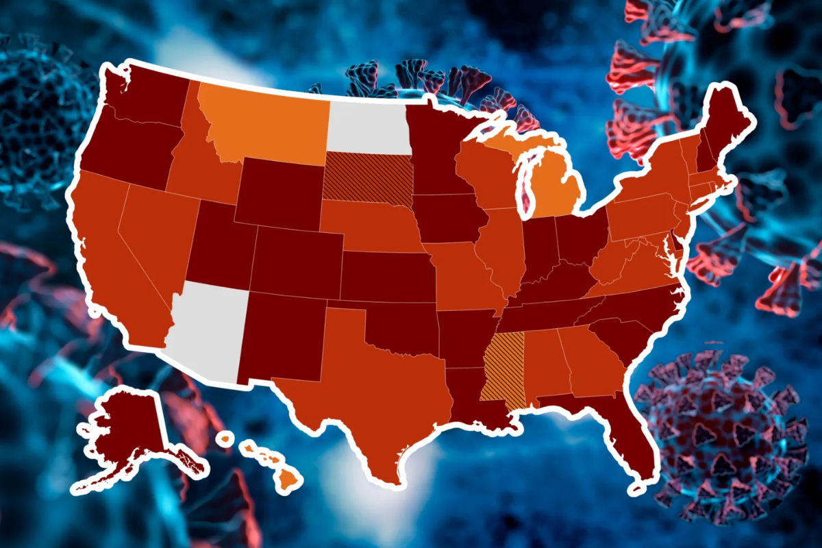 Cyclospora Outbreak Grows Past 11,000 Cases as Covid-19 and Measles Also Rise| The Lifesciences Magazine
