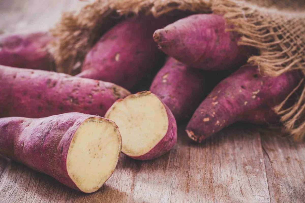 10 Healthiest Winter Vegetables for Immunity and Wellness | The Lifesciences Magazine