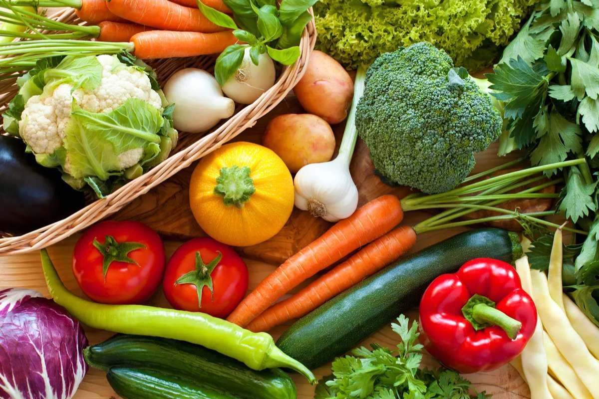 Plant-Based Diet: Why It’s Trending & What to Know | The Lifesciences Magazine