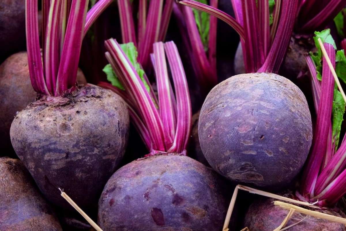 10 Healthiest Winter Vegetables for Immunity and Wellness | The Lifesciences Magazine