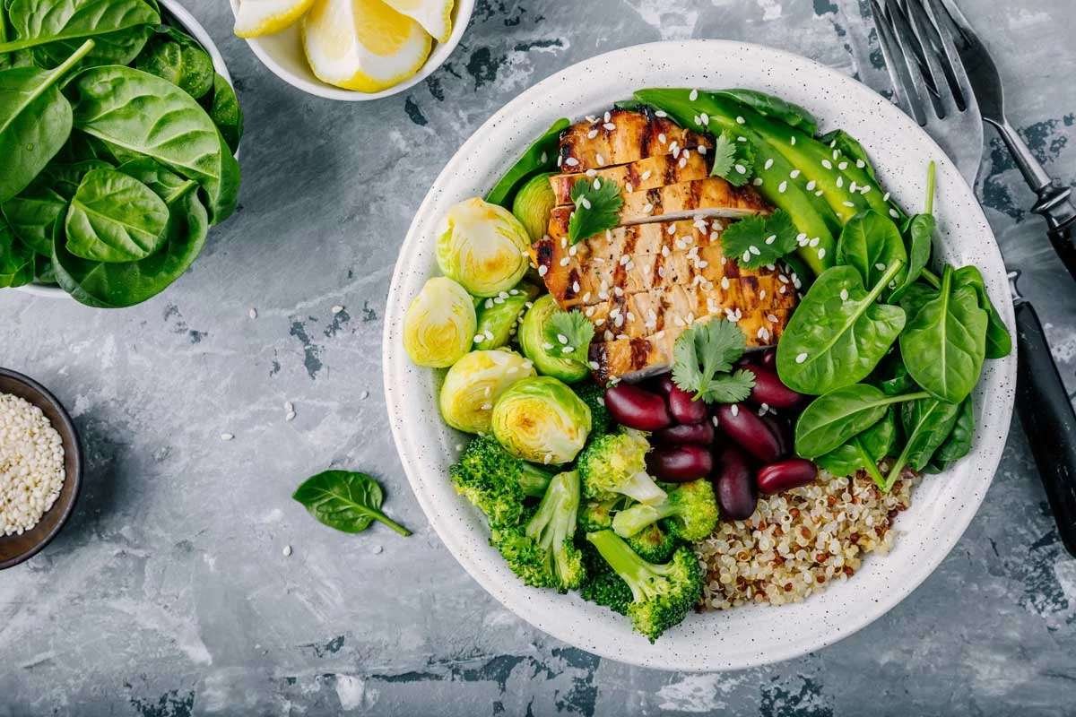 Plant-Based Diet: Why It’s Trending & What to Know | The Lifesciences Magazine