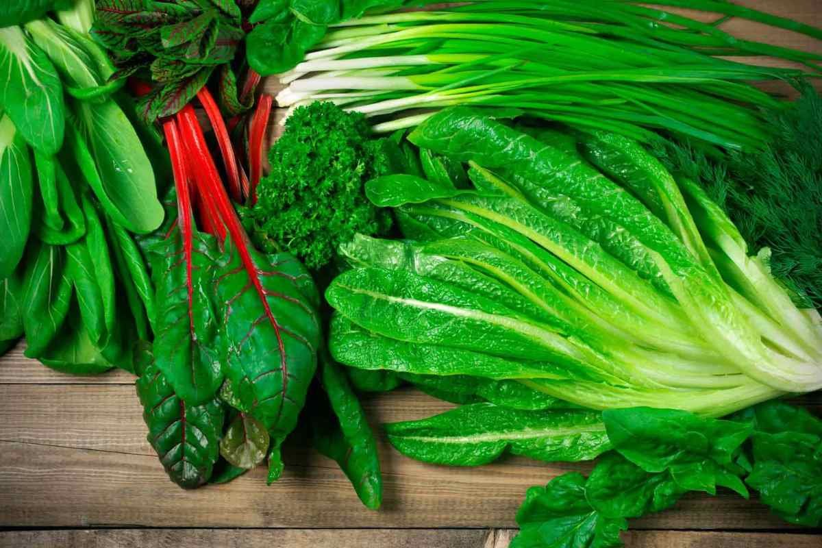 Winter Immunity Boosting Foods: Best Foods to Stay Healthy | The Lifesciences Magazine