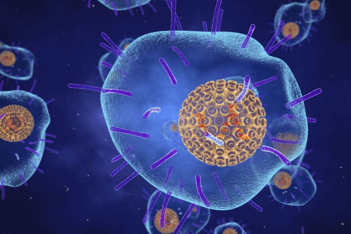Shingrix Vaccine Linked to Lower Heart Attack and Stroke Risk | The Lifesciences Magazine