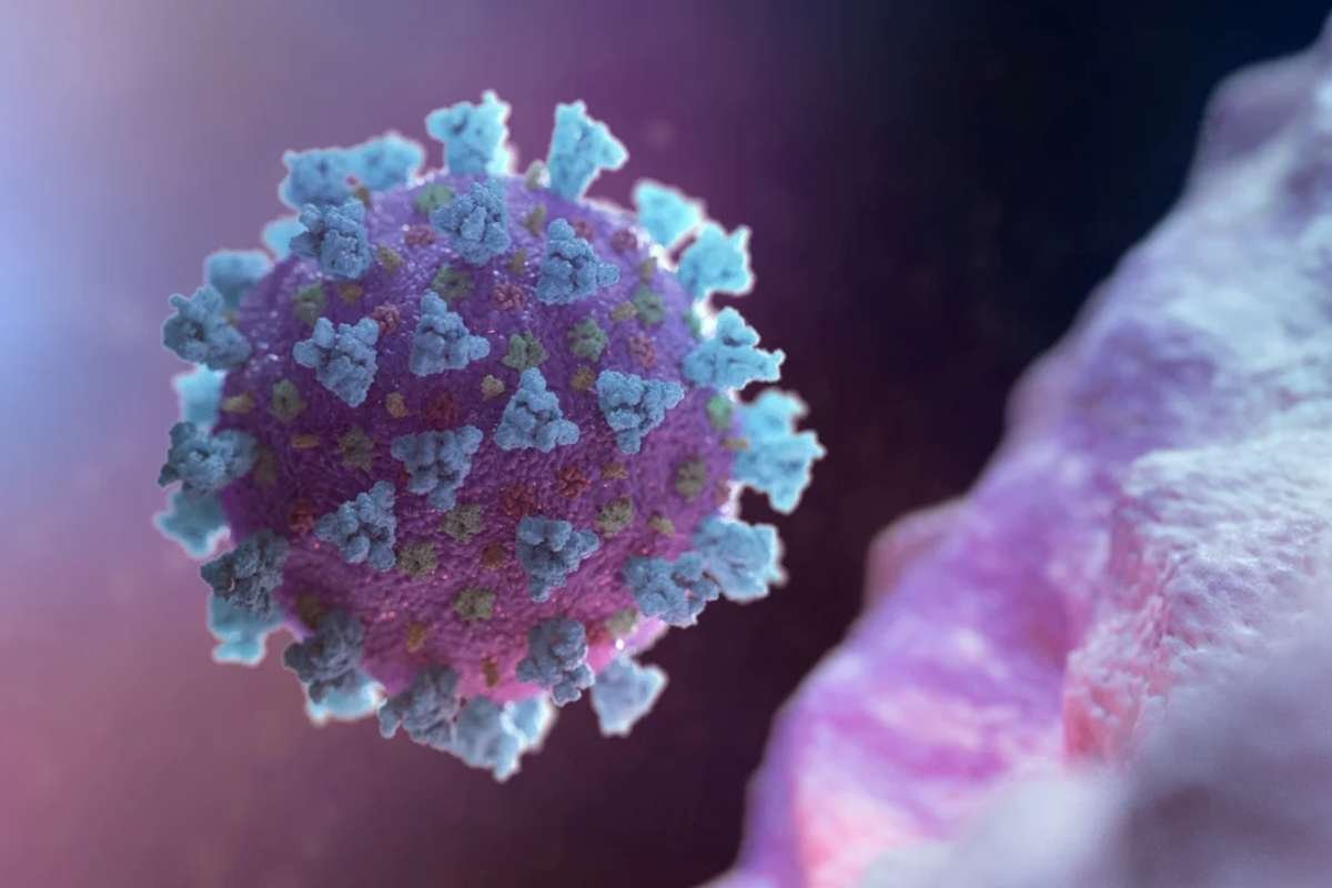 U.S. COVID-19 Activity Rises: Symptoms, Vaccines & Treatments | The Lifesciences Magazine