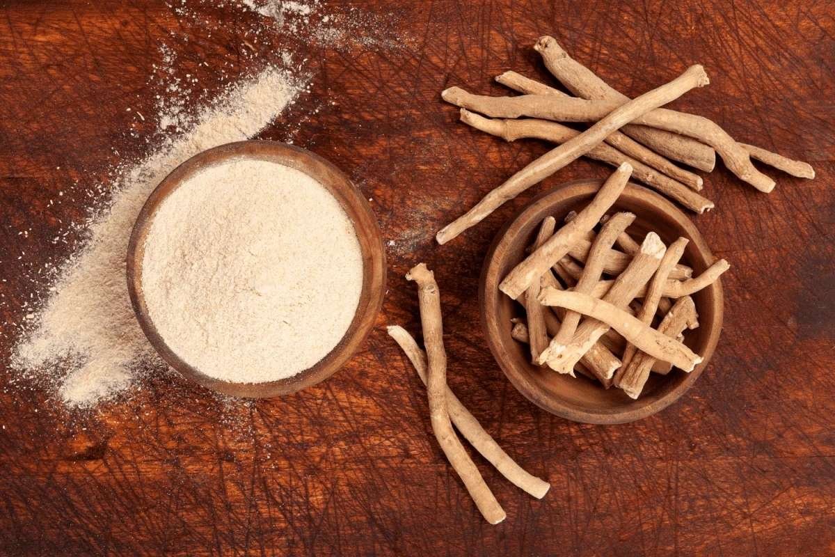Does Ashwagandha Make You Fertile? Separating Fact From Hype | The Lifesciences Magazine