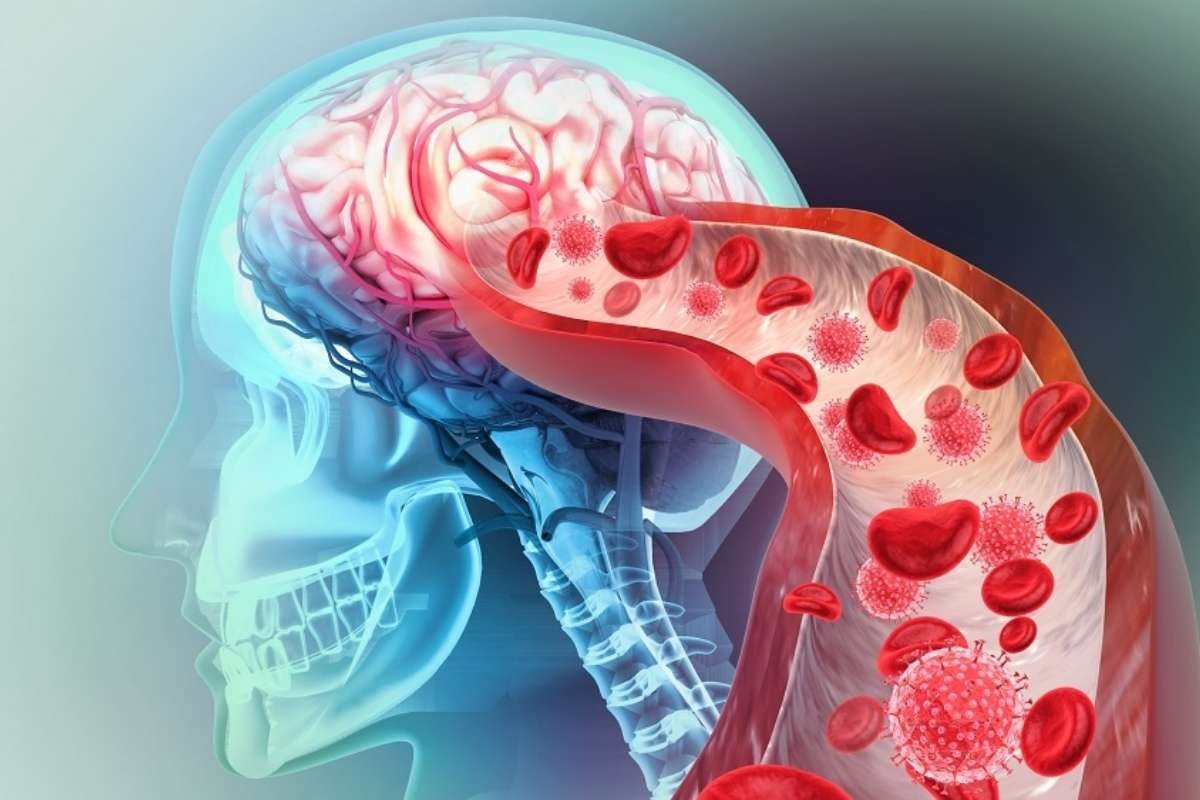 What Happens When You Eat for Your Brain? A Diet for Brain Health Explained | The Lifesciences Magazine