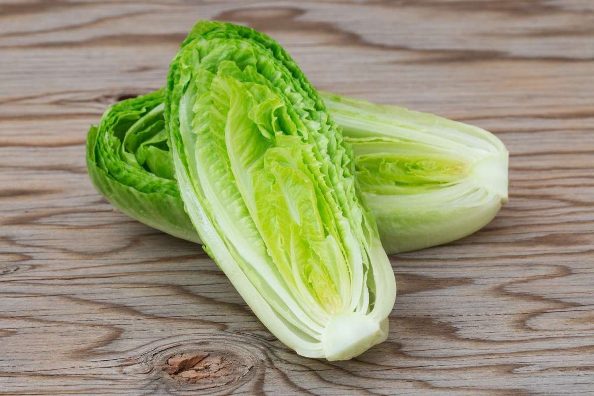 Healthiest Leafy Green Vegetables: Why Eating Just One Isn't Enough | The Lifesciences Magazine