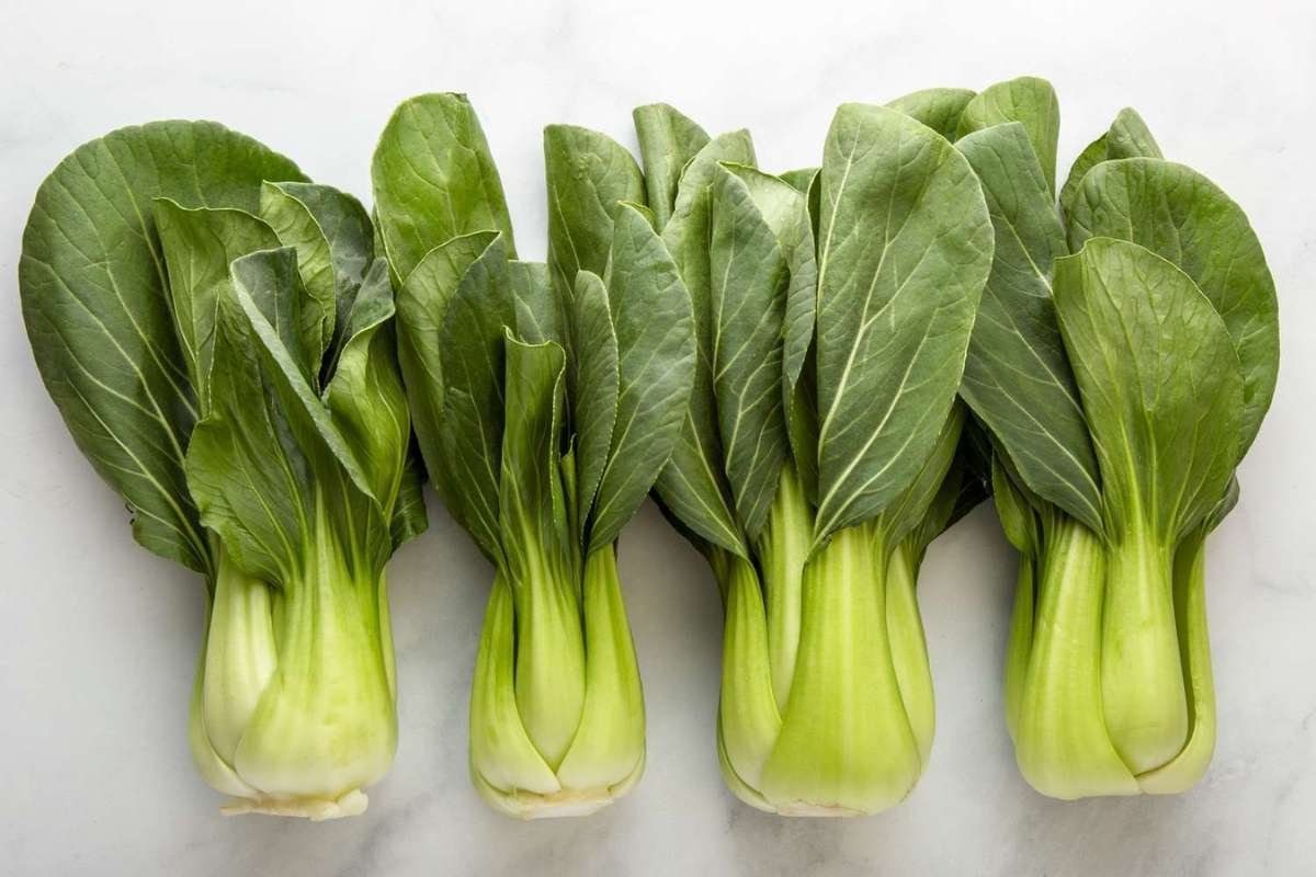 Healthiest Leafy Green Vegetables: Why Eating Just One Isn't Enough | The Lifesciences Magazine