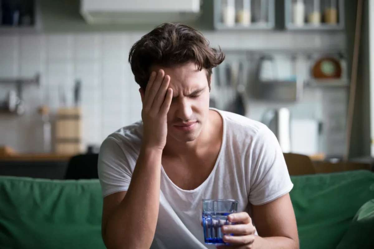 Milk Thistle Prevent or Cure Hangovers- Does It Really Work? | The Lifesciences Magazine
