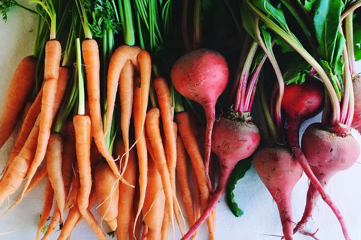 The Best Vegetables to Juice and How to Combine Them Right | The Lifesciences Magazine