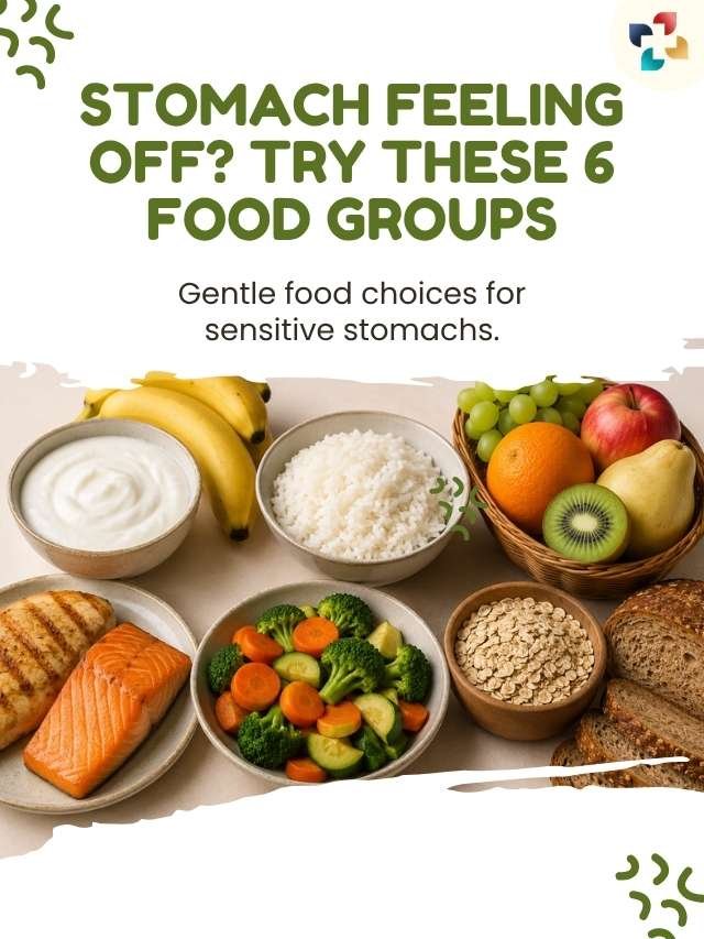Food Groups That Are Easy To Digest for Sensitive Stomachs The Lifesciences Magazine