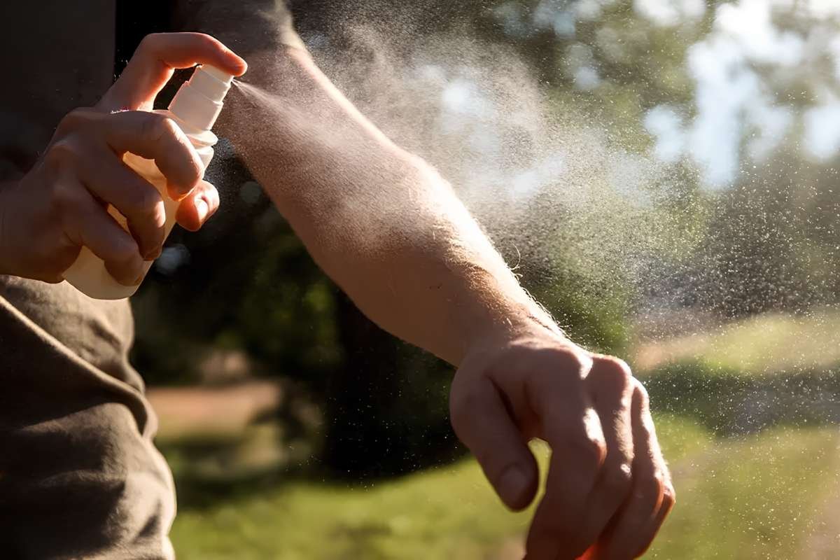 Dengue Outbreak in Tampa Bay: Cases Rise | The Lifesciences Magazine