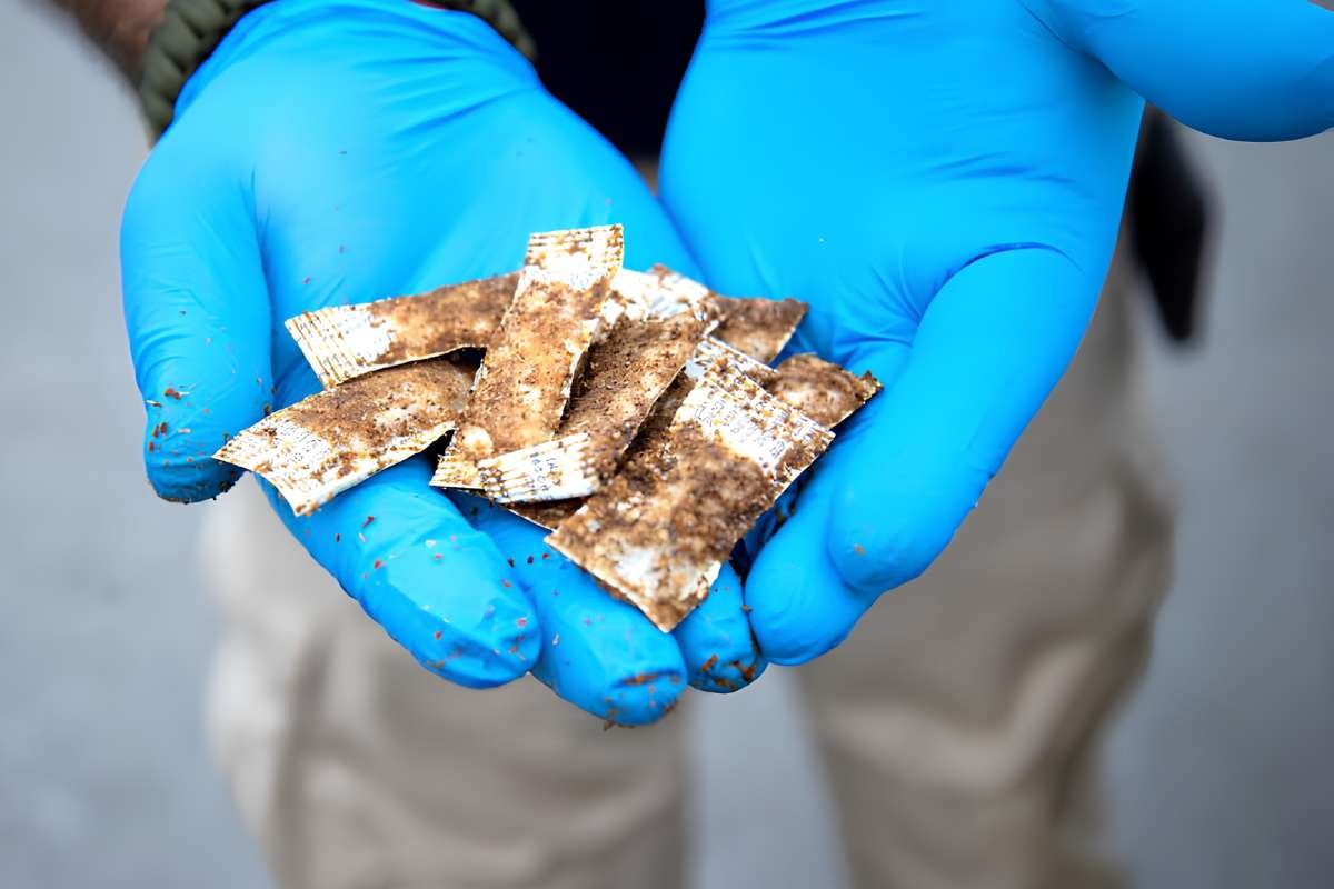 Oral Rabies Vaccine Baits Dropped Across Massachusetts | The Lifesciences Magazine