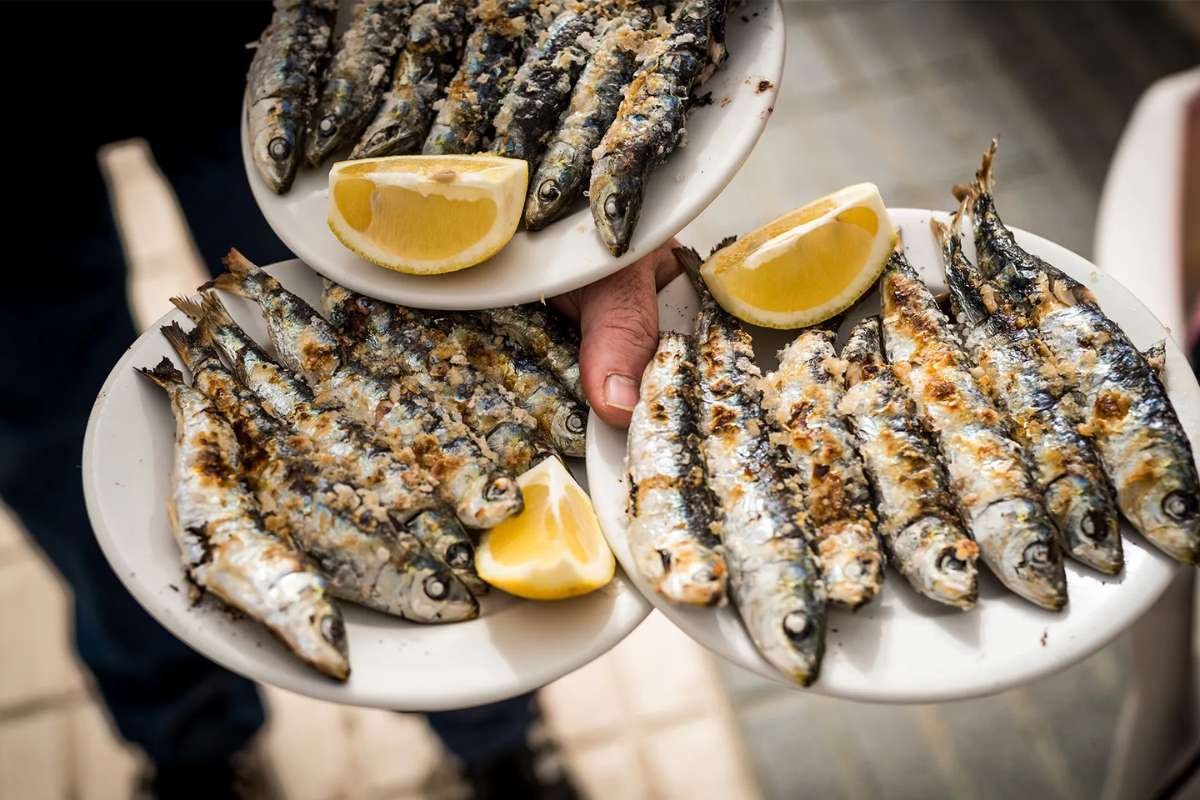 Sardines Pack Nutrients, But Health Limits Matter | The Lifesciences Magazine