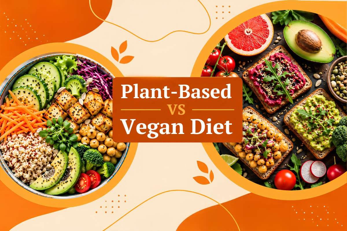 Plant-Based vs Vegan Diet: Key Differences and Benefits | The Lifesciences Magazine