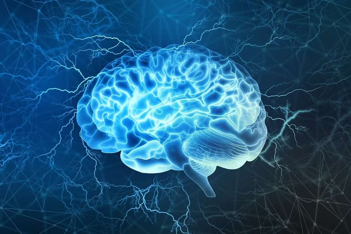 The Neuroscience of Mental Health and How Your Brain Can Heal | The Lifesciences Magazine