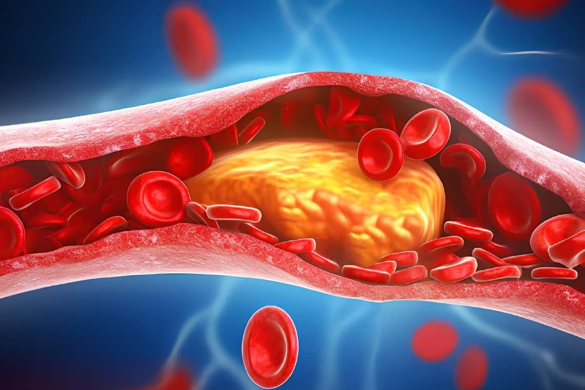 Saturated Fat vs Unsaturated Fat: Key Health Differences | The Lifesciences Magazine