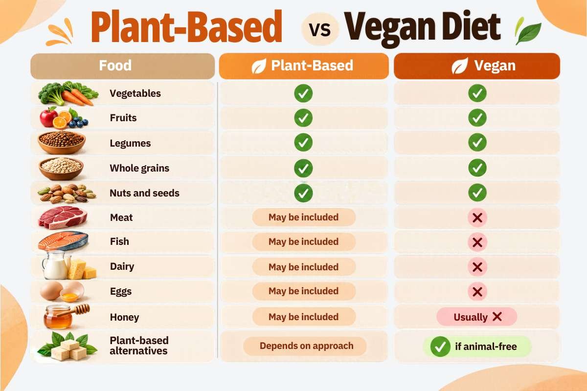 Plant-Based vs Vegan Diet: Key Differences and Benefits | The Lifesciences Magazine