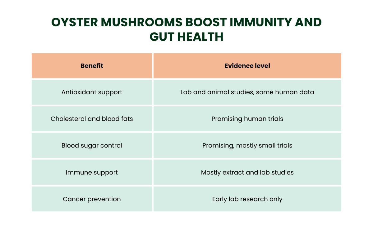 Benefits of Oyster Mushrooms for Heart, Blood Sugar, and Immunity | The Lifesciences Magazine
