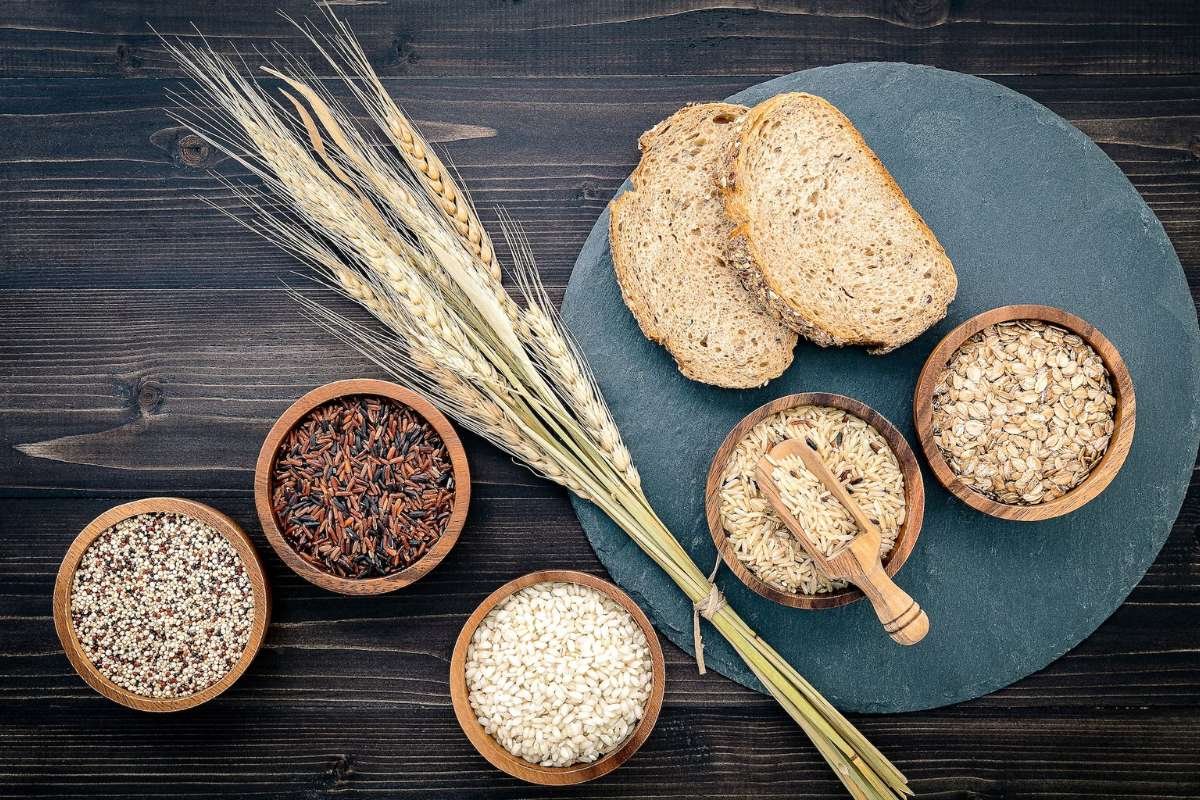 Whole Grain vs Refined Grain: Same Grain, Different Nutritional Story | The Lifesciences Magazine