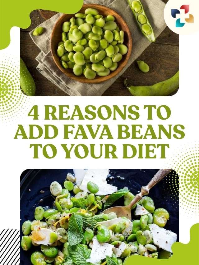 Health Benefits of Fava Beans Nutrition and Safety The Lifesciences Magazine