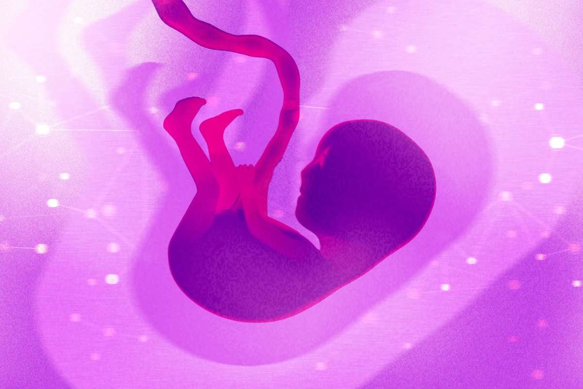 Biotech Founder Pushes Gene Editing Of Human Embryos Toward Clinical Use | The Lifesciences Magazine