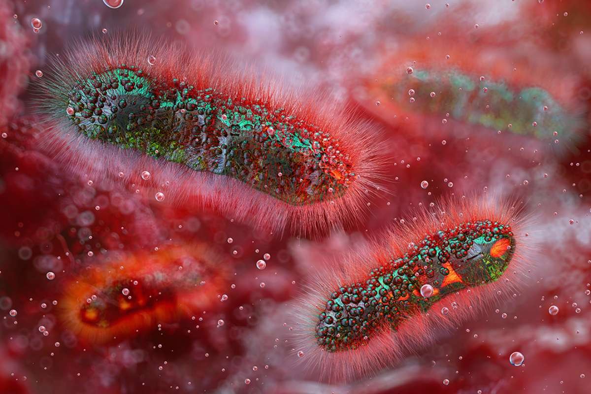 Kansas Shigellosis Cases Reach Seven-Year High at 71 | The Lifesciences Magazine