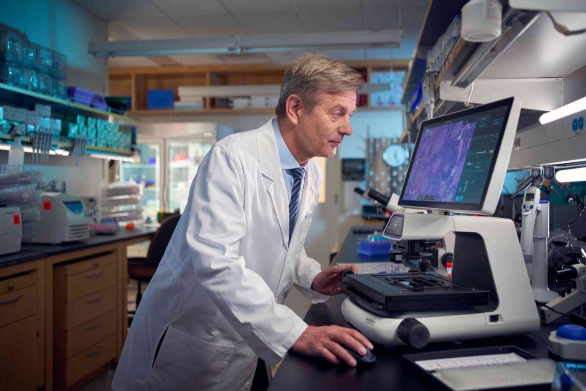 Sugar During Antibiotic Treatment May Disrupt Gut | The Lifesciences Magazine